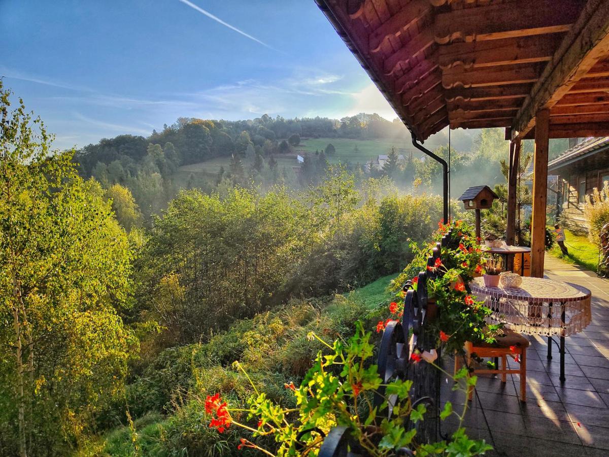 Czarna Owca Bed & Breakfast Istebna Luaran gambar