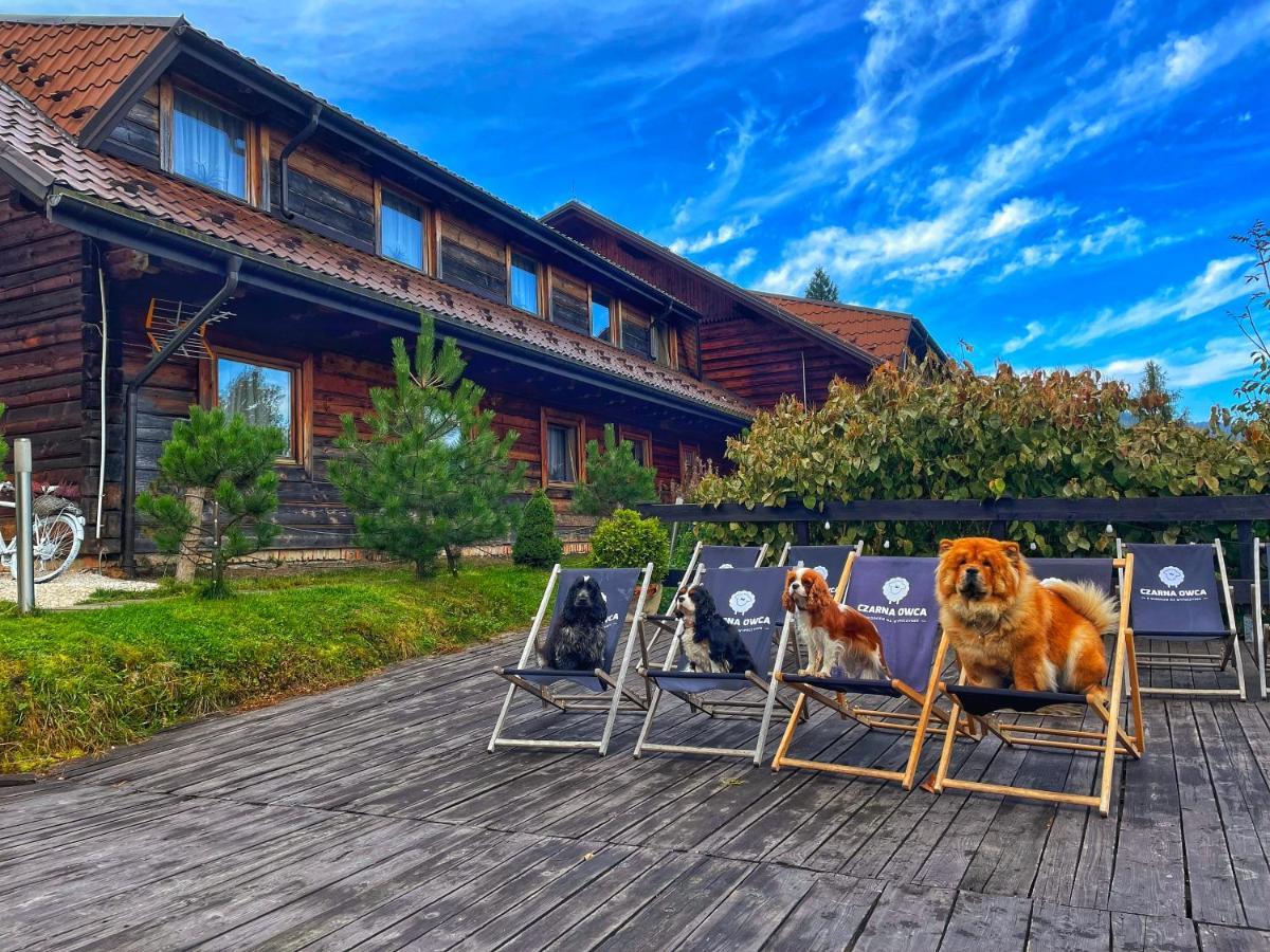 Czarna Owca Bed & Breakfast Istebna Luaran gambar