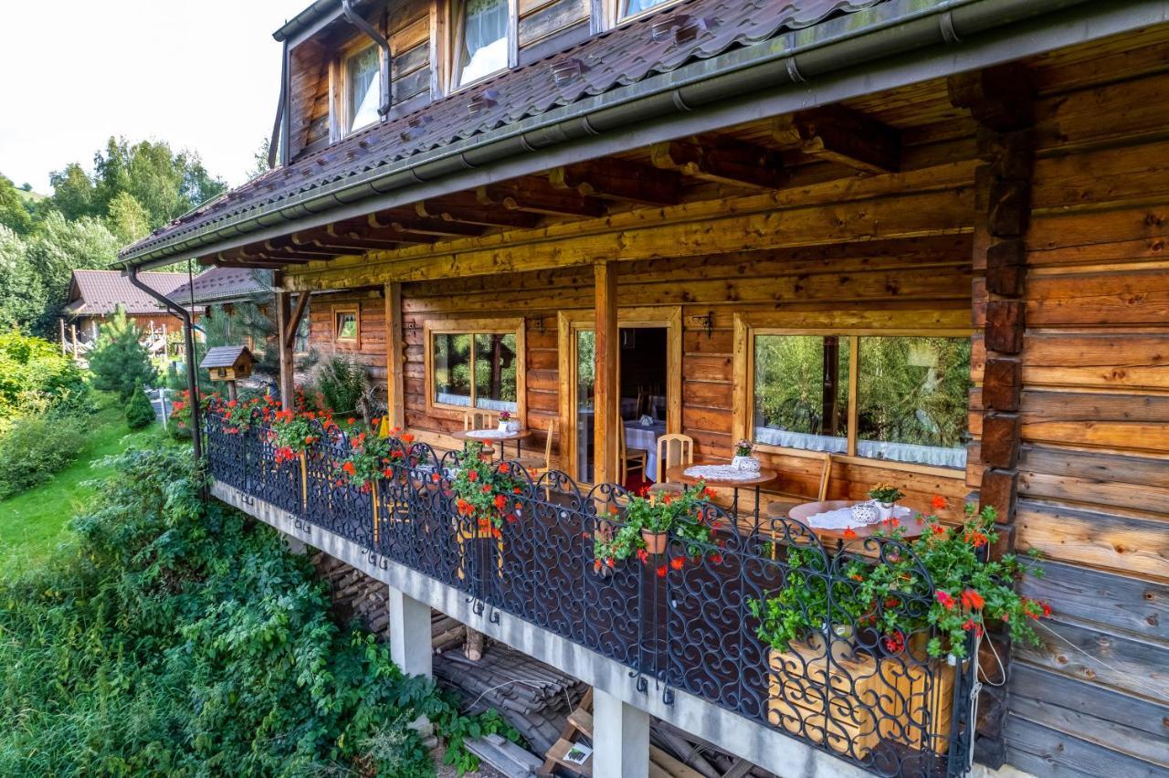 Czarna Owca Bed & Breakfast Istebna Luaran gambar