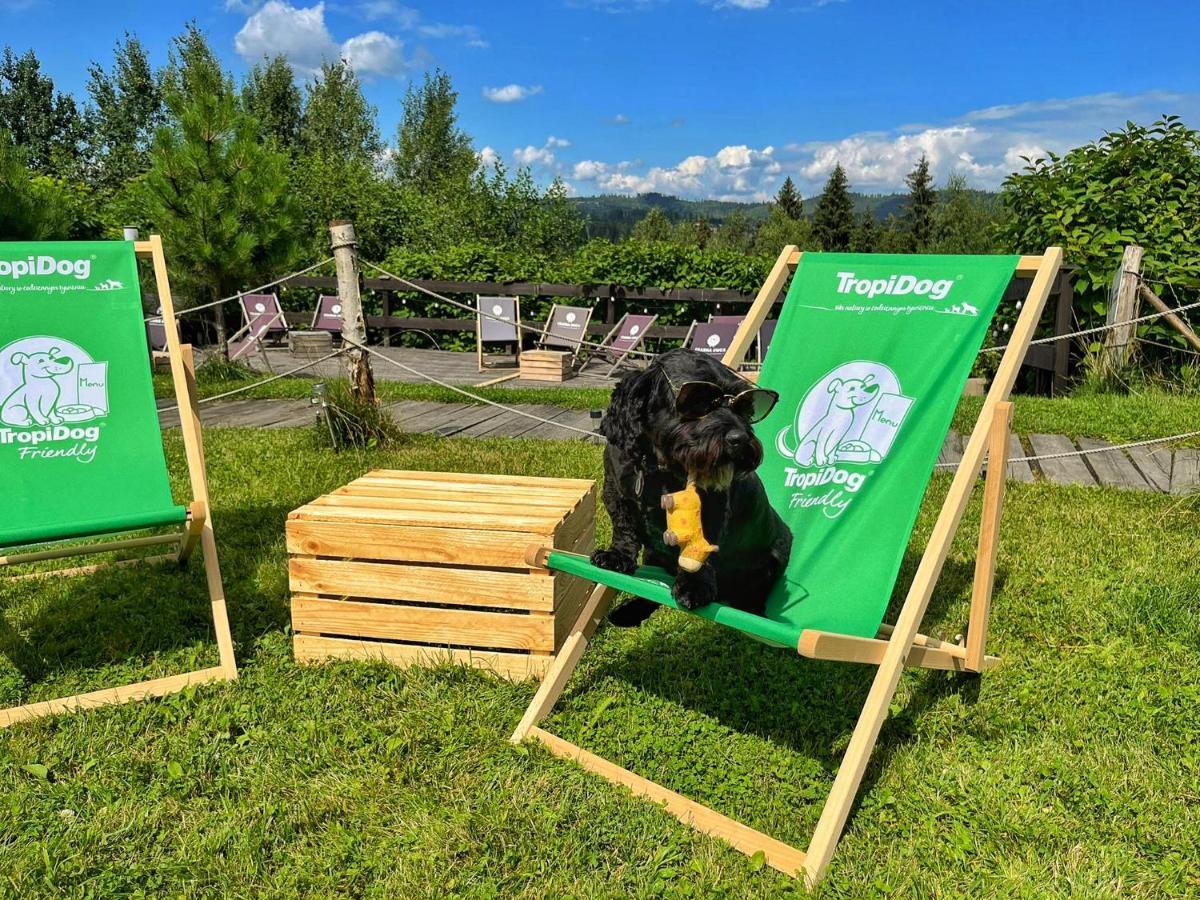 Czarna Owca Bed & Breakfast Istebna Luaran gambar