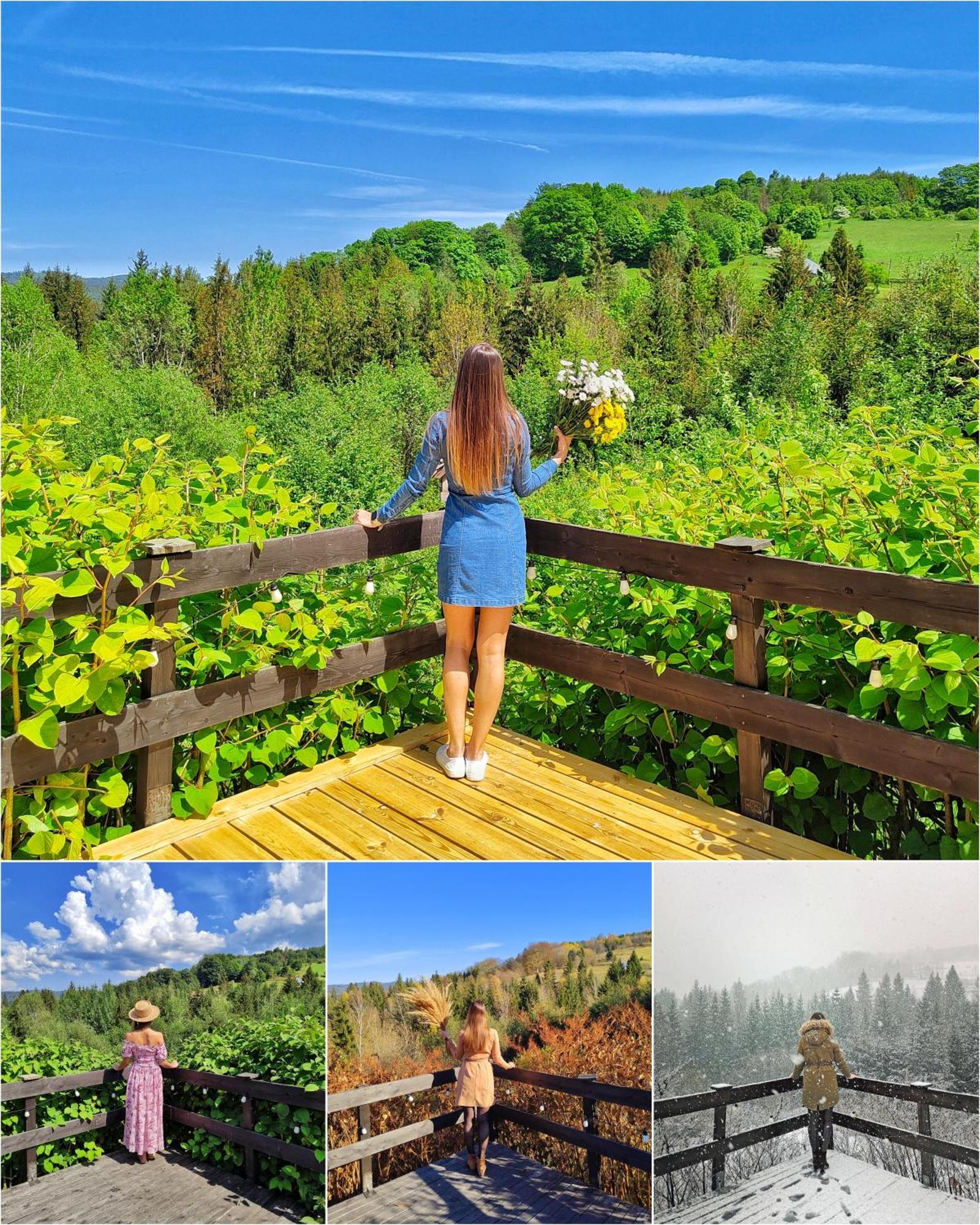 Czarna Owca Bed & Breakfast Istebna Luaran gambar